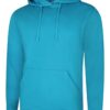 Deluxe Hooded Sweatshirt UC509 280GSM