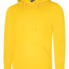 Deluxe Hooded Sweatshirt UC509 280GSM